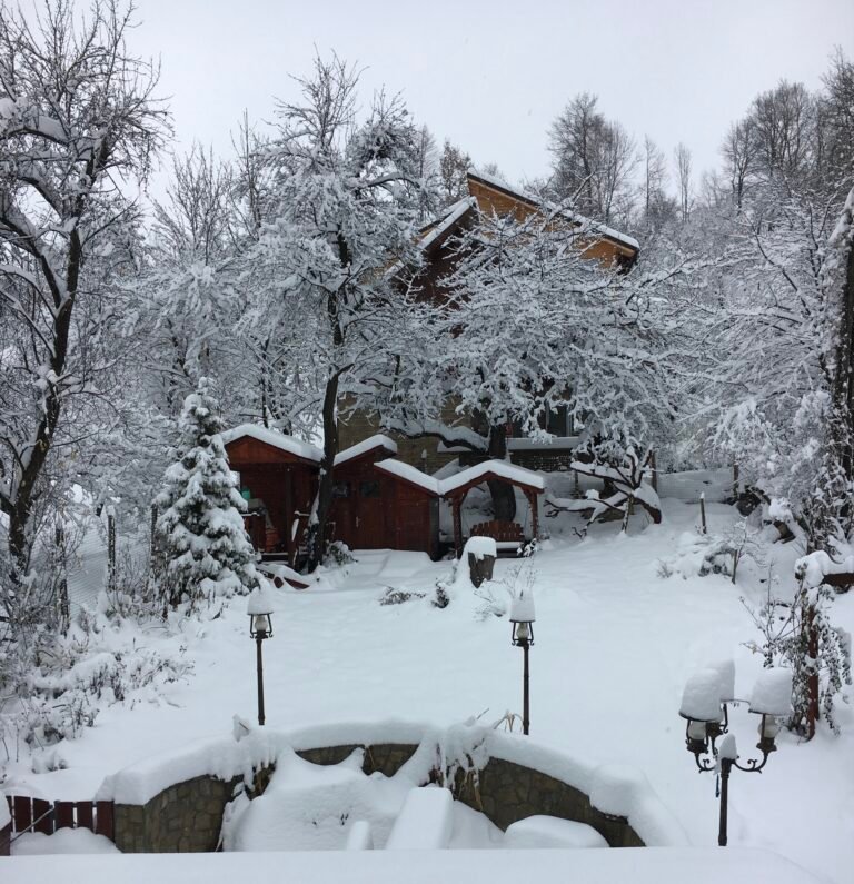 The garden in Bran, Romania, under a thick layer of snow