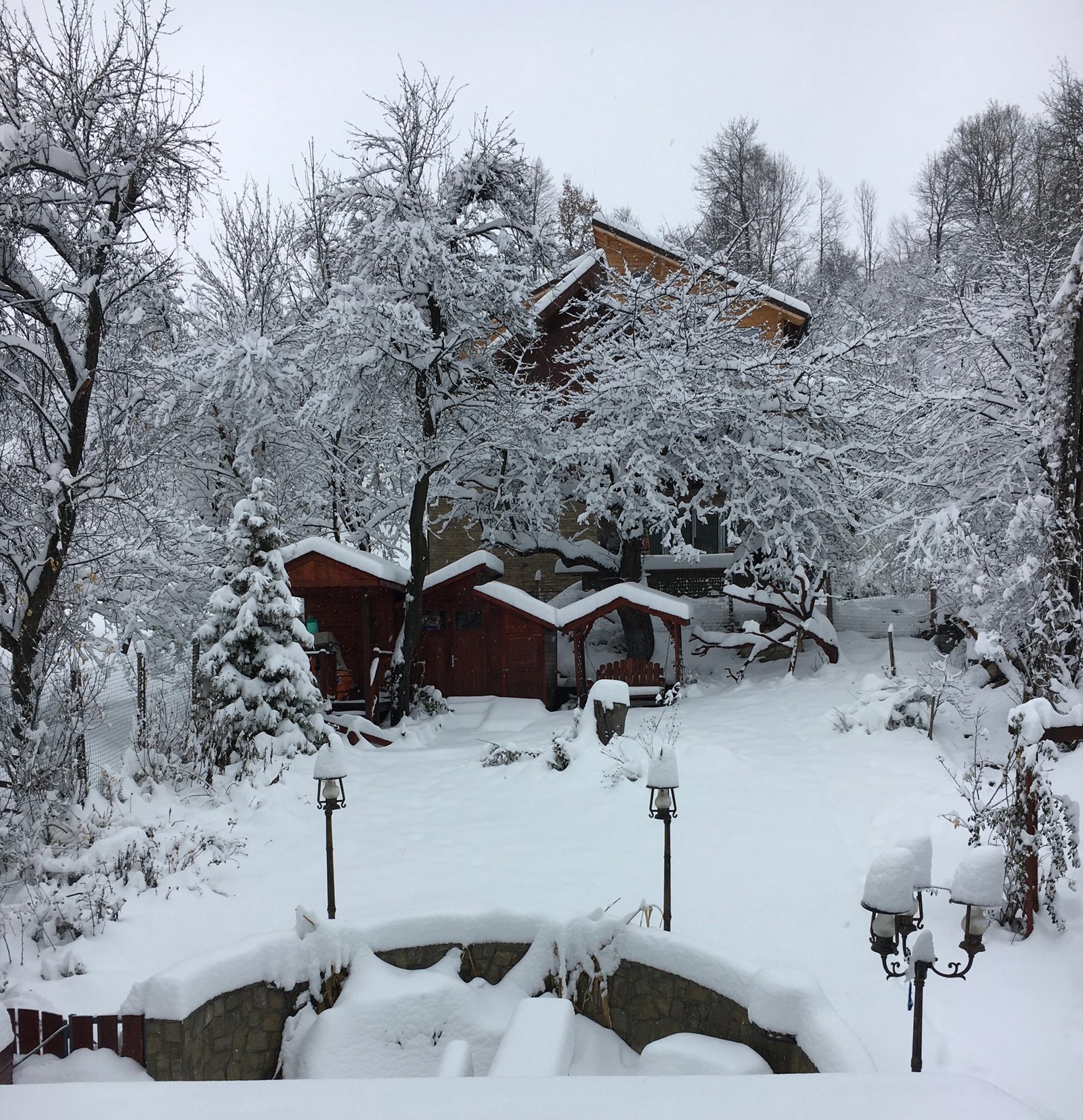 The garden in Bran, Romania, under a thick layer of snow